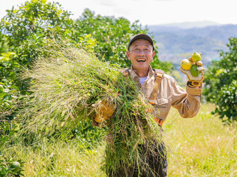 【自然栽培】柚子（多田錦）5㎏箱詰-農薬不使用・無肥料・無除草剤