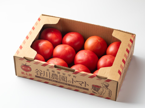 【北海道産】🍅樹上熟3段採り🍅桃太郎トマト2kg箱〈正品〉
