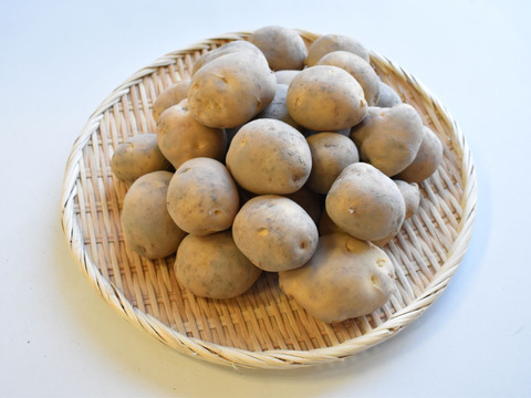 和らぎ農法　じゃがいも　秋じゃがデジマ便（約2.5kg）