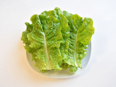 和らぎ農法　チマサンチュ（1袋）