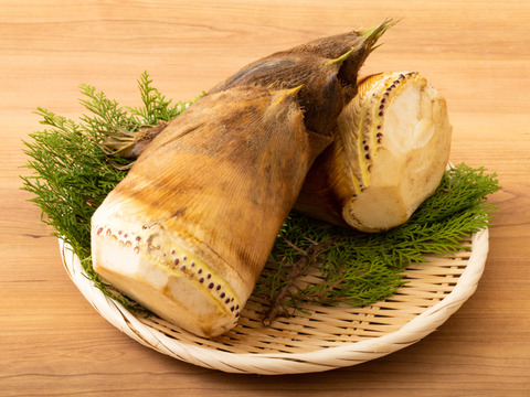 🌸春の味覚🌸たけのこ 2kg小ぶり(2～5本)