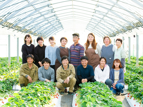 果汁たっぷり！熊本晩生みかん『金峰』10ｋｇ（1/20まで）