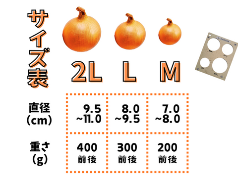 【染物用玉ねぎの皮同封】淡路島玉ねぎ5kg【野菜ソムリエサミット金賞🏆】