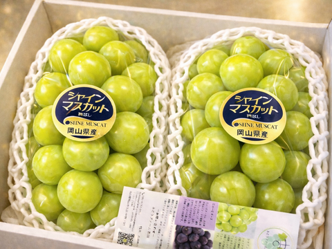 【最高ランク特秀】晴れの国岡山 シャインマスカット大粒1.2kg（600g×2）