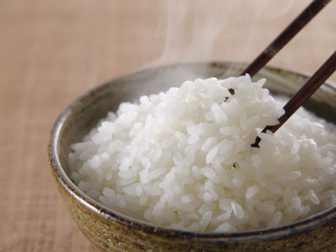 令和６年産　【岩船産　特別栽培】新之助　精米10kg【5㎏×２袋】