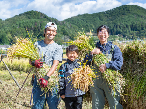 農薬化学肥料除草剤不使用天日干し米　農園産　白餅　大袋１２枚入り