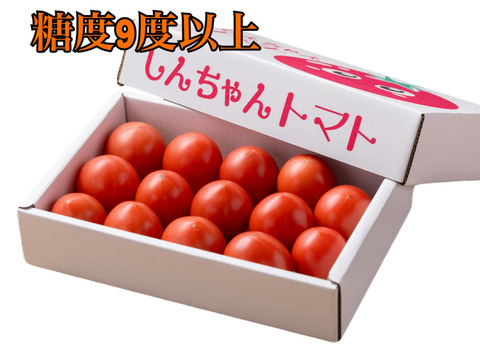 フルーツトマト　糖度9度以上　約750ｇ　高知県土佐市
