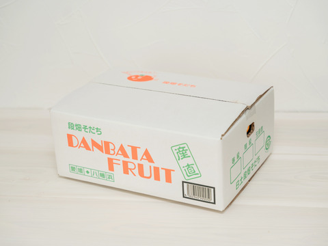 【予約割先着10箱限定】段畑まどんな (4キロ×2箱　ご家庭用)