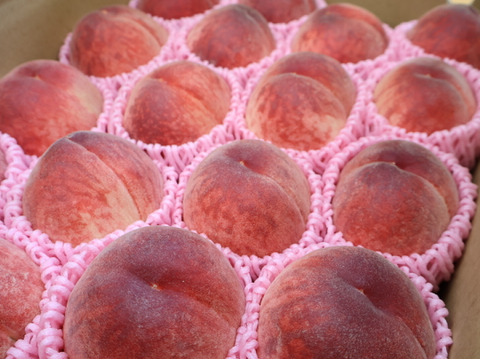 【特別価格！】極早生桃「はなよめ」5kg【2日間限定】