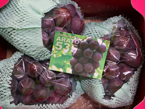 【化粧箱入り！】岡山県新見市産　標高が高い畑で作った！大粒！味が濃い！果汁たっぶり！ニューピオーネ　3～４房（1.8kg以上）