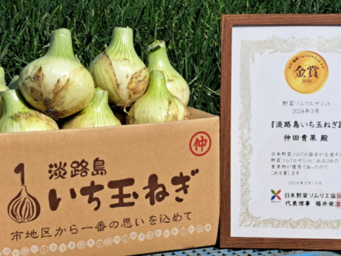 【野菜ソムリエサミット金賞🏆】淡路島新玉ねぎ5kg