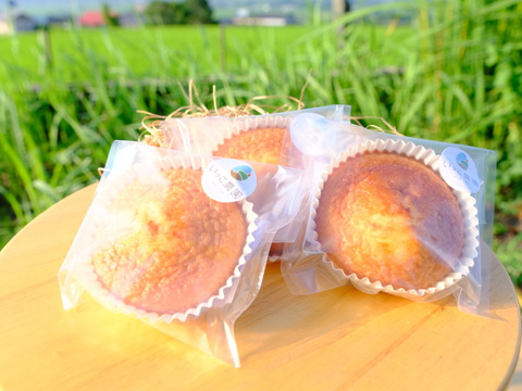 【福袋2025】南阿蘇お試しセット（美味しい物をちょっとずつ！味わえます）