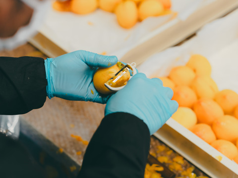 桐箱入 プレミアム干柿 SHUKU８玉