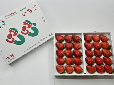 大粒とちあいか（30粒セット）