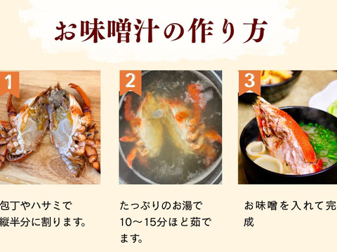 【極小アサヒガニ】宮崎県産｜お味噌汁や出汁料理に｜３kg