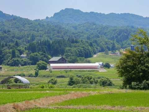 【際立つ甘味と酸味！糖度10度以上を厳選！フルーツトマト(これトマプレミアム)】１箱45粒(約800g)