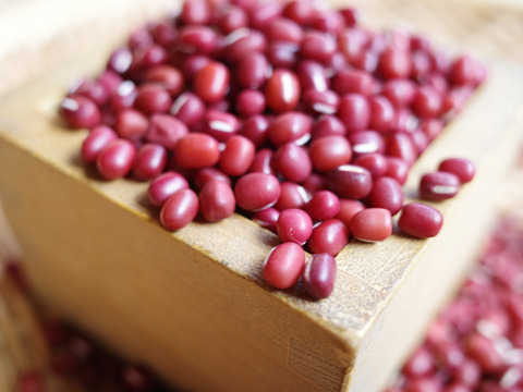 【1月のお届け】◎自然栽培◎大納言あずき 1.5kg 《令和7年収穫・山形県鶴岡産》