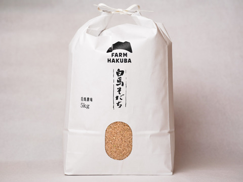 【令和7年米】もち米　もちひかり(5kg)