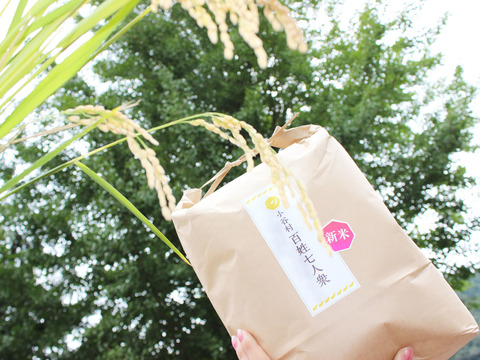 【限定価格】令和2年産米ゆめしなの（10kg）　長野県の高地で栽培されるおいしいお米