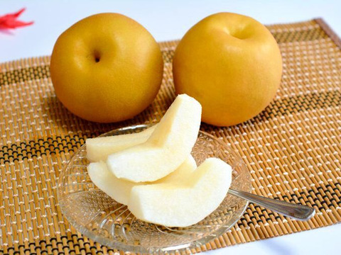 【和梨の予約】福島の完熟梨　南水5ｋｇ（11～15玉）　ギフト・贈答用に【9月上旬～9月下旬お届け予定】