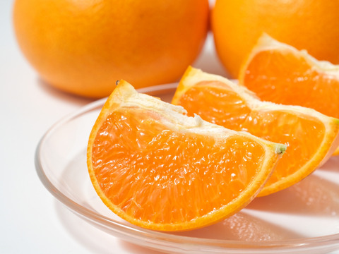 【限定300セット】旬の柑橘 食べ比べ便🍊（食べチョク公式）