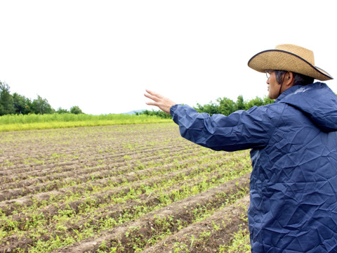 【有機JAS認証】北海道産の元気な土で育ったじゃがいも（10kg）Sサイズ