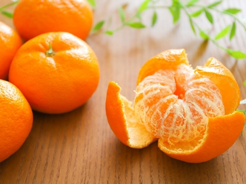 今が旬！愛媛産【極早生みかん】：愛媛県産のみかん・柑橘類｜食べ