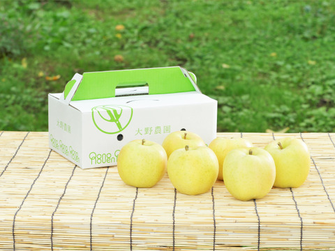 【りんご：とき】黄色いりんごの代表！8～5個程度（2kg程度）