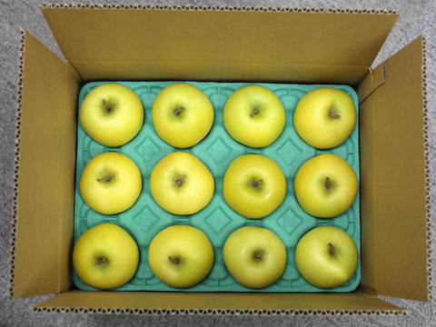 【完売】真冬の引き締まった食感！シナノゴールド青森りんご2.5kg（6〜11個）