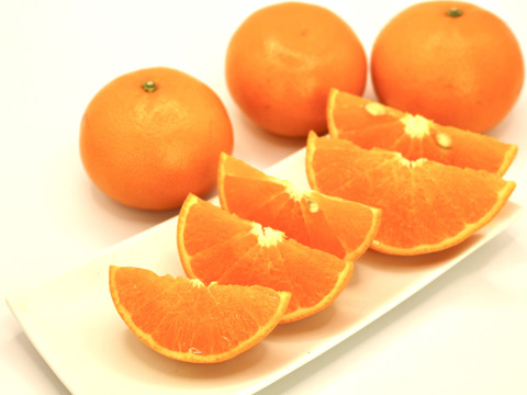 【柑橘の大トロ】あふれる果汁！「きみのせとか」（せとか） 1.5kg