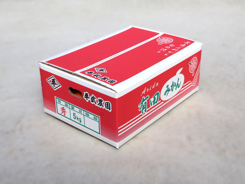 【冬ギフト】【予約割引中】農家直送！完熟有田みかん　Ｌ 5kg　～蛍飛ぶ町から旬の便り～　和歌山｜有田｜田口｜ギフト｜こだわり