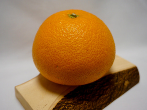 【母の日ギフト】『八朔！？春峰(しゅんぽう)です！』約20～30玉入り サイズ混合