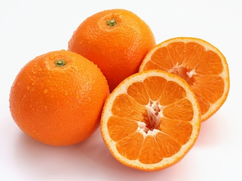 旬の柑橘二品種食べ比べセット《ポンカン1.5kg+伊予柑1.5kg》【柑橘食べ比べ】