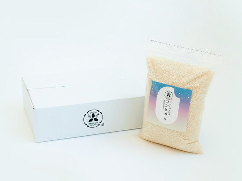 【令和7年新米】【3ヶ月定期】新潟県保内産コシヒカリ 3kg