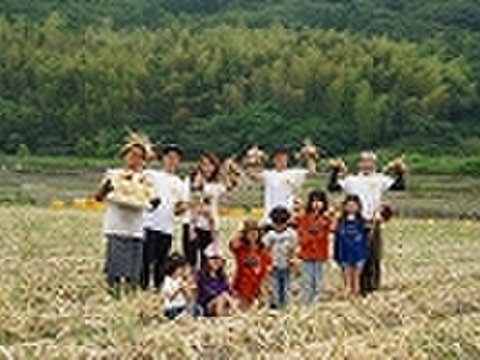 【今だけ！数量限定】大人気♪グリーンボール２玉と特別栽培淡路島玉ねぎ5キロ