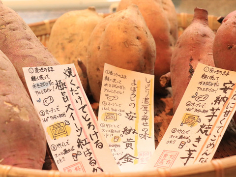 【熟成さつまいも人気3種類食べ比べ】　〈厳選〉安納芋・紅はるか・安納黄金（9kg）溢れ出る種類別の蜜を贅沢に🍯🍠焼き芋にオススメ。ひとつひとつ紙に包んでお届けでプレゼントにも🎁熨斗承ります！
