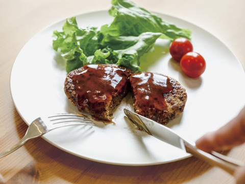 【夏ギフト】《今だけ300円引き✨》家族みんなで分けて食べれるファミリーサイズ(800ml) 2個と、冷凍のまま焼けるハンバーグ3個セット！