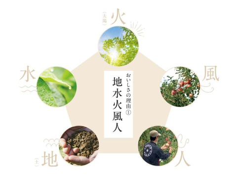 【今！旬】りんご＆ジュース詰め合わせ5kg　ギフト/贈答用　りんごの名産地青森広船より