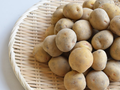 和らぎ農法　じゃがいも　春じゃがキタアカリ便（約2.5kg）