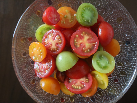 【自然栽培】カラフルトマト約8種mix《60サイズ》