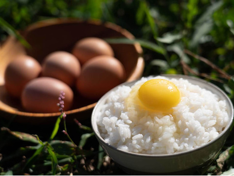 【新規注文の人限定！お試しセット🥚】【お塩で食べられる🐣🍚卵かけご飯】やまもりたまご【20個入】白身の甘みを味ってみませんか？