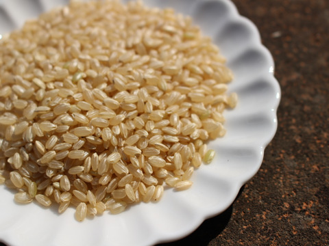 ＊甘み・粘りが強く柔らか食感　令和5年産特別栽培米ヒノヒカリ玄米　3kg