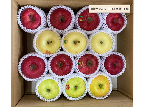 【今！旬！】りんご詰め合わせ　ギフト/贈答用10kg(28~40玉) りんごの名産地青森広船より