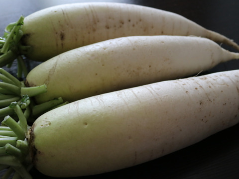 大根（冬自慢）13㎏