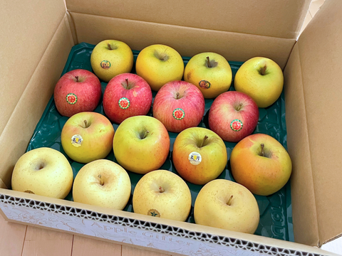 【12月発送】おまかせ旬りんご詰め合わせ（家庭用5kg・14~20玉）【みんなで食べ比べ🍎】
