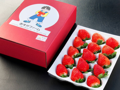 【ジューシー】とにかく甘いいちごを皆様にお届けしたい約400ｇ 2パック※蜜入りのものあり