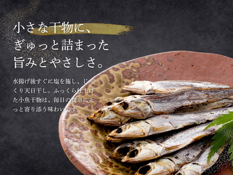 【海の精×天日干し】小魚の無添加干物（750g）
