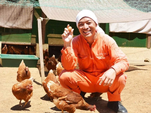 人に自然にやさしいたまご「えぼし姫」20個入り