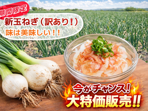 【コスパ重視】淡路島産新玉ねぎ　訳あり品〜毎日の料理の強い味方〜　5kg（サイズ混合）