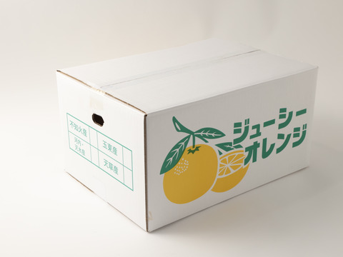 ジューシーオレンジ約9.5kg（30玉前後）🍊　別名　和製グレープフルーツ　爽やかな風味